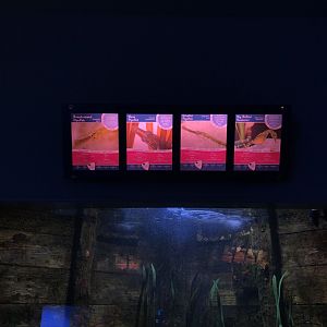 Pipefish Signage at Tynemouth Aquarium (2019)