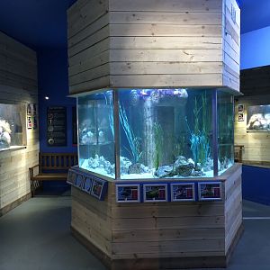 General View of Tropical Seas at Tynemouth Aquarium (2019)