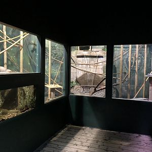 General View of Amazing Amazon at Tynemouth Aquarium (2019)