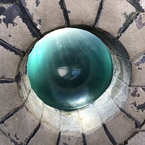 Seal Enclosure Porthole at Tynemouth Aquarium (2019)