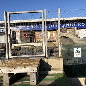 Seal Enclosure at Tynemouth Aquarium (2019)