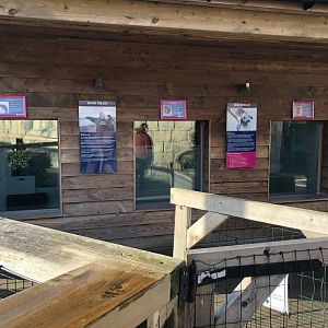 Seal Hospital at Tynemouth Aquarium (2019)