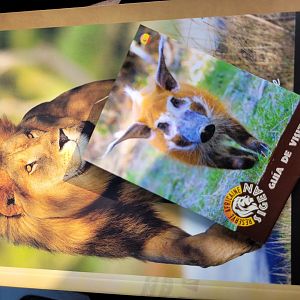 Guidebook and Map -Réserve Africaine de Sigean (2022)