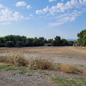 Second Brousse exhibit -Réserve Africaine de Sigean (2022)