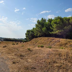 Third Brousse exhibit -Réserve Africaine de Sigean (2022)