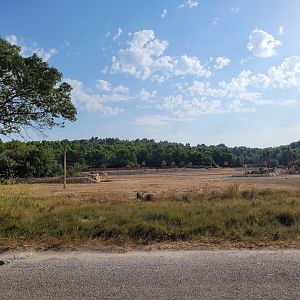 Third Brousse exhibit -Réserve Africaine de Sigean (2022)