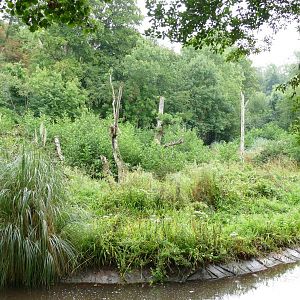 Large orangutan island, August 2022