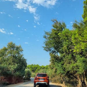 First Brousse exhibit -Réserve Africaine de Sigean (2022)