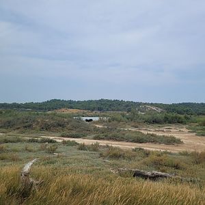 Asian black bear exhibit -Réserve Africaine de Sigean (2022)