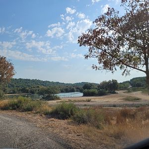 Lion exhibit -Réserve Africaine de Sigean (2022)
