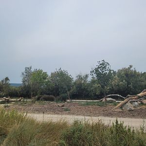 Lion exhibit -Réserve Africaine de Sigean (2022)