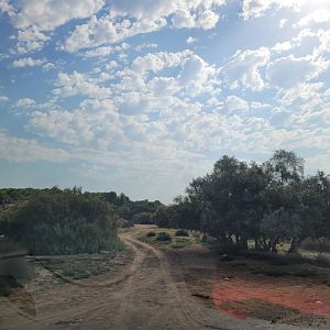 First Savannah exhibit -Réserve Africaine de Sigean (2022)