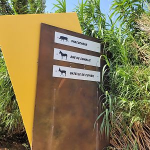 Third Savannah entrance -Réserve Africaine de Sigean (2022)