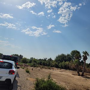 Third Savannah exhibit -Réserve Africaine de Sigean (2022)