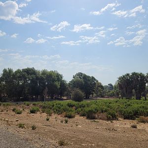 Third Savannah exhibit -Réserve Africaine de Sigean (2022)