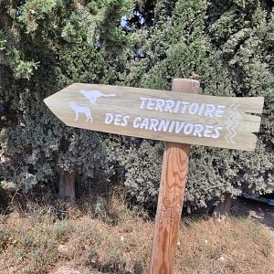 Signae -Réserve Africaine de Sigean (2022)