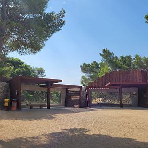 African wild dog viewing gallery -Réserve Africaine de Sigean (2022)