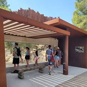 African wild dog viewing gallery -Réserve Africaine de Sigean (2022)