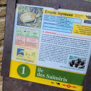 Mediterranean pond turtle sign -Réserve Africaine de Sigean (2022)