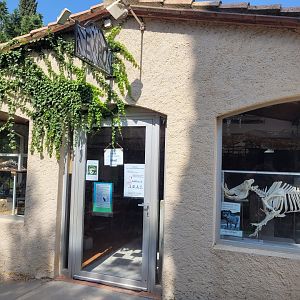 Taxidermy hall -Réserve Africaine de Sigean (2022)