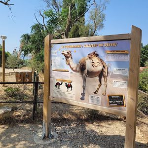 Dromedary sign -Réserve Africaine de Sigean (2022)