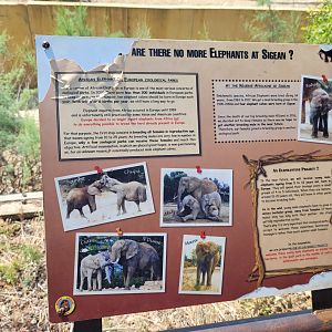 Elephants at Sigean -Réserve Africaine de Sigean (2022)