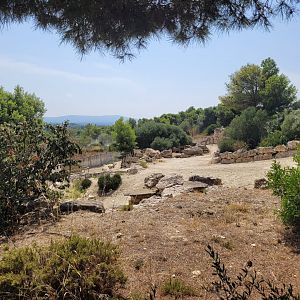 Persian onager exhibit -Réserve Africaine de Sigean (2022)