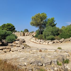 Persian onager exhibit -Réserve Africaine de Sigean (2022)