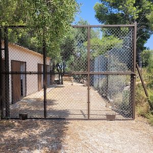 Cuvier's gazelle exhibit -Réserve Africaine de Sigean (2022)