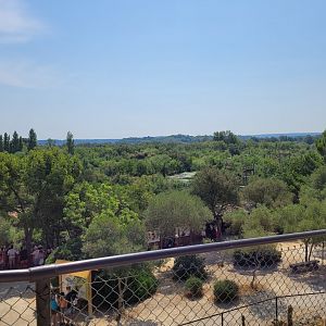 Chimpanzee area view -Réserve Africaine de Sigean (2022)