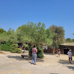 Chimpanzee area -Réserve Africaine de Sigean (2022)