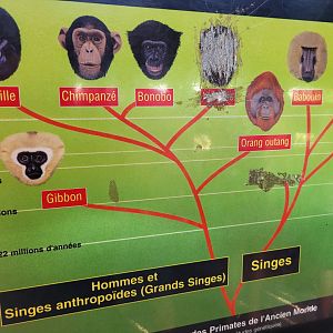 Vandalised sign -Réserve Africaine de Sigean (2022)