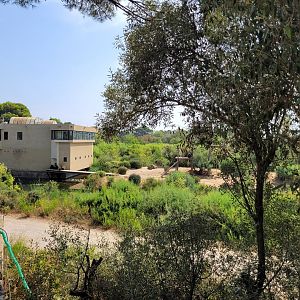 Common chimpanzee exhibit -Réserve Africaine de Sigean (2022)