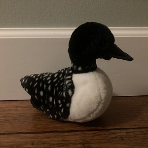 Wild Republic Audubon Common Loon