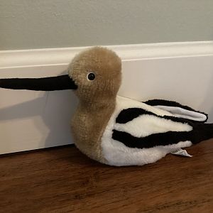Wild Republic Audubon American Avocet