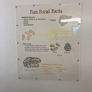 Fecal Facts (bathroom signage)