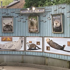 Otter vs Seal signage