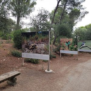 Mediterranean wildlife photography display -Réserve Africaine de Sigean (2022)