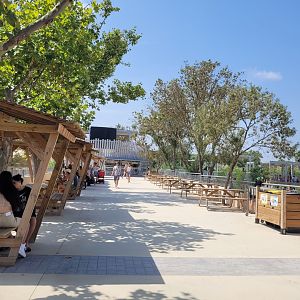 "Plaine Africaine" observatory -Réserve Africaine de Sigean (2022)