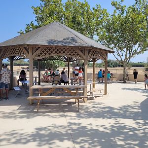 "Plaine Africaine" observatory -Réserve Africaine de Sigean (2022)