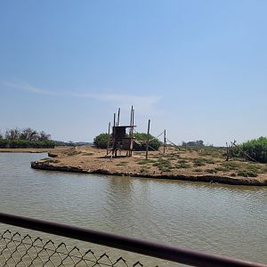 Barbary macaque exhibit -Réserve Africaine de Sigean (2022)