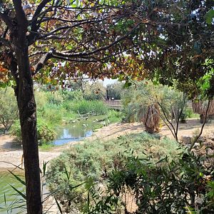 Aviary view -Réserve Africaine de Sigean (2022)