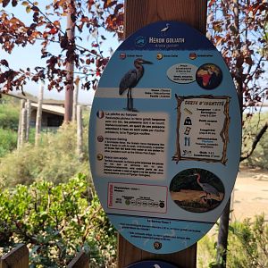 Goliath heron sign -Réserve Africaine de Sigean (2022)