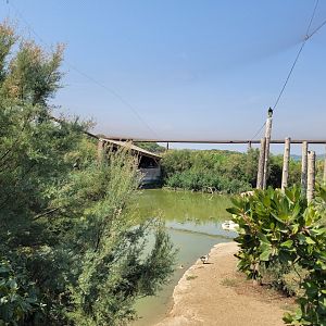 Aviary view -Réserve Africaine de Sigean (2022)