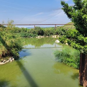 Aviary view -Réserve Africaine de Sigean (2022)