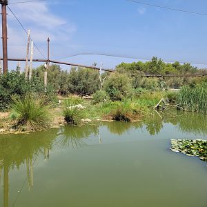 Aviary view -Réserve Africaine de Sigean (2022)