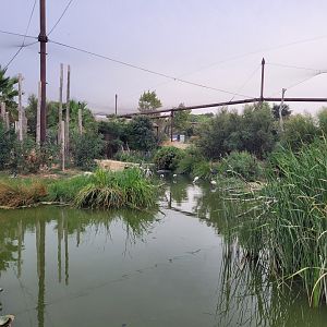 Aviary view -Réserve Africaine de Sigean (2022)