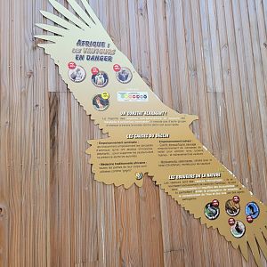 Vultures of Africa sign -Réserve Africaine de Sigean (2022)