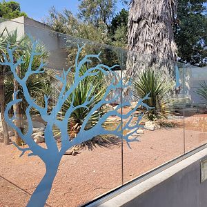 Black-throated monitor and African spurred tortoise exhibit -Réserve Africaine de Sigean (2022)