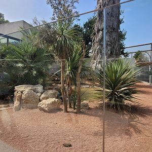 Black-throated monitor and African spurred tortoise exhibit -Réserve Africaine de Sigean (2022)